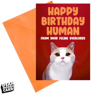 DMA516 Greeting Card - Happy Birthday human from your feline overlords